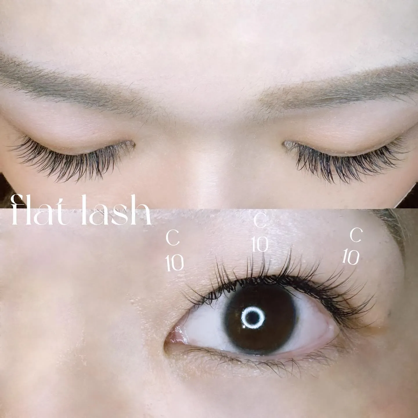 フラットラッシュ100本✨