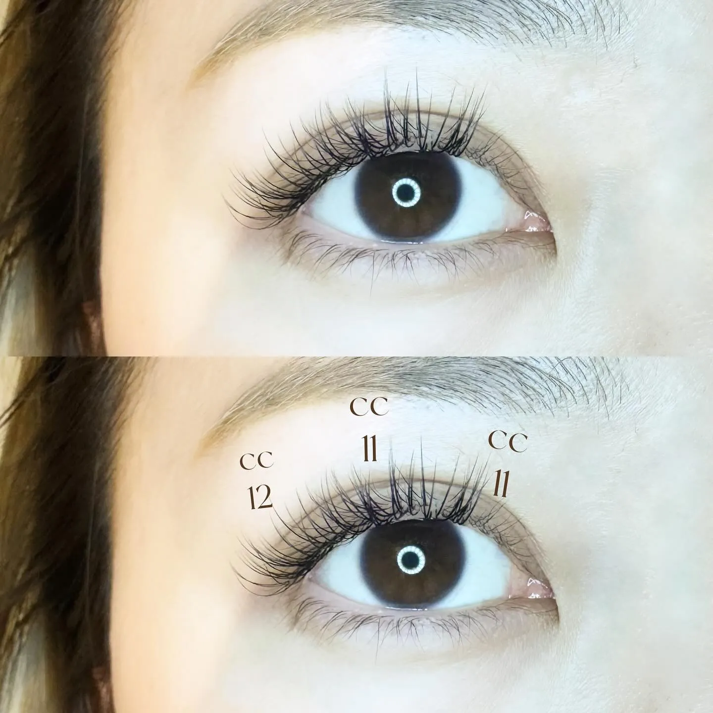 フラットラッシュ100本🪽