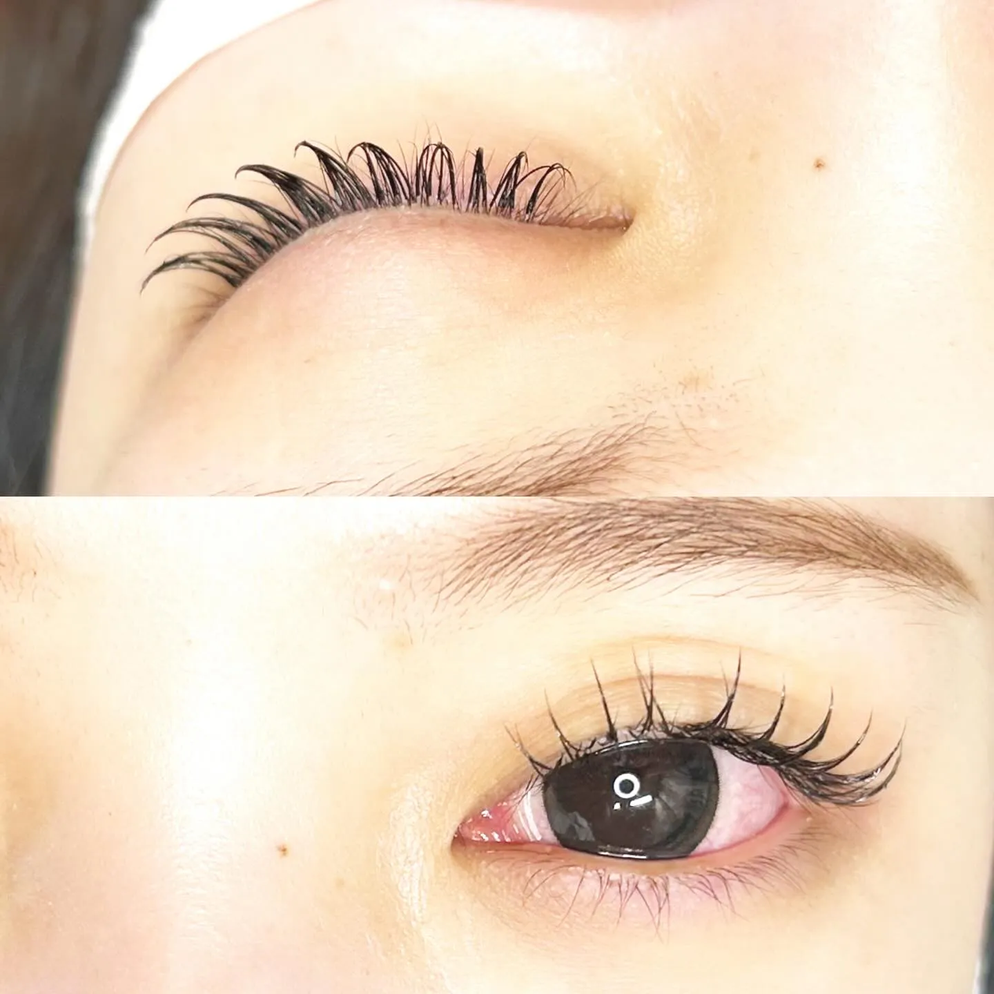 フラットラッシュ100本♪