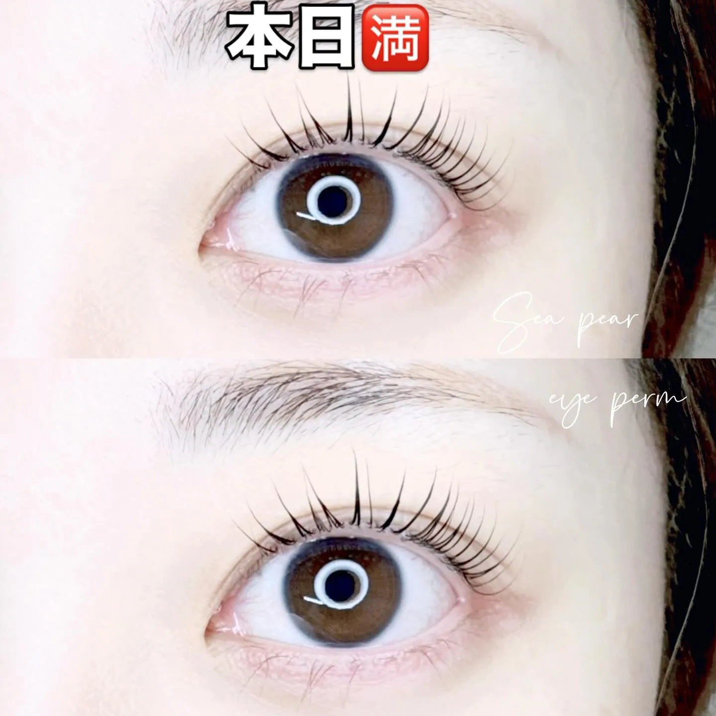 Sea pear鳳店は本日予約🈵です。