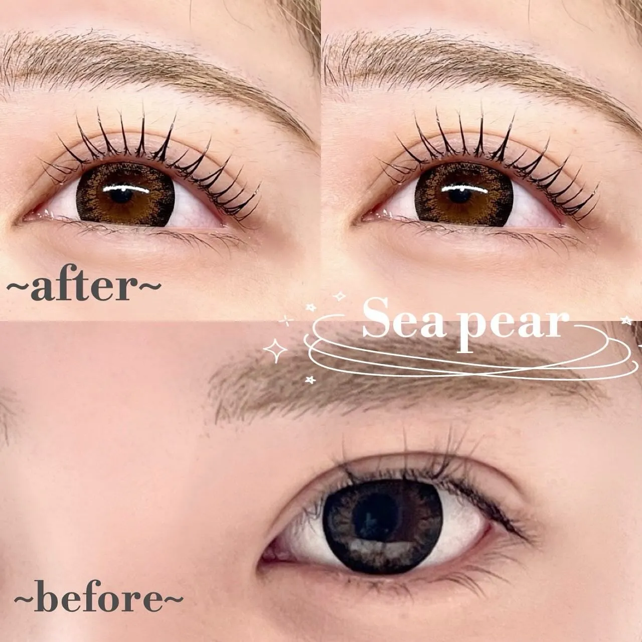 Sea pear鳳店は本日予約満です。