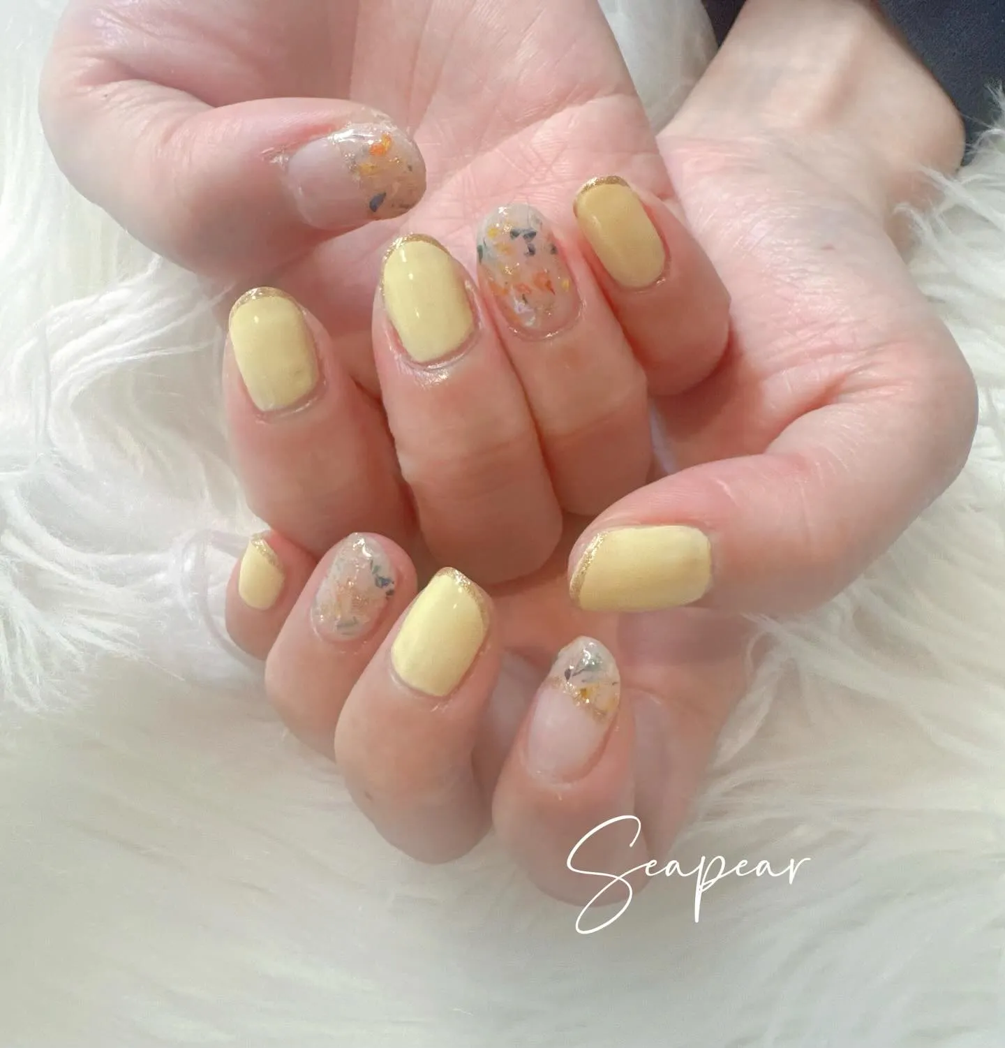 押し花🌸