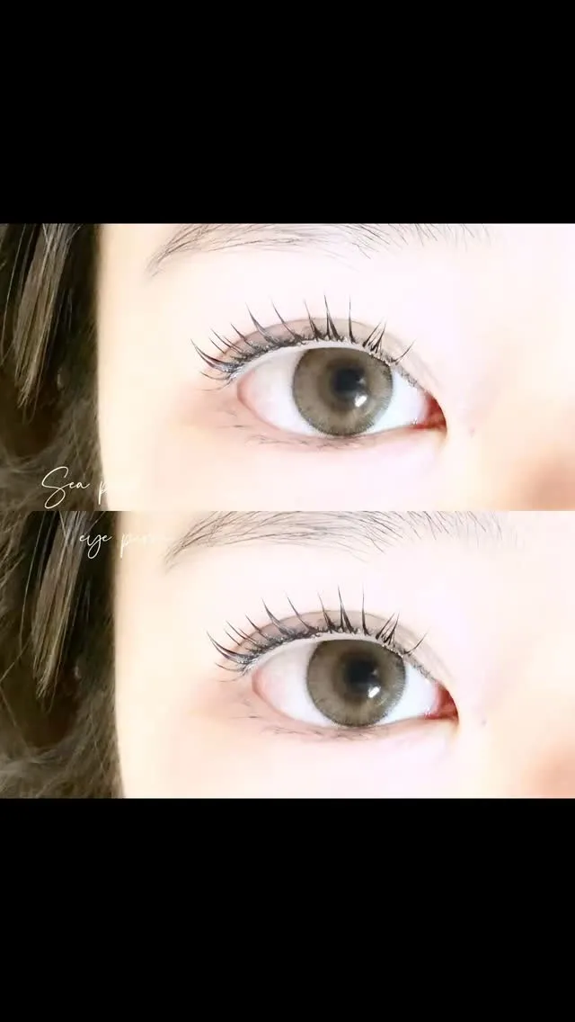 Sea pear鳳店 堺市西区鳳中町5-168-5 2F